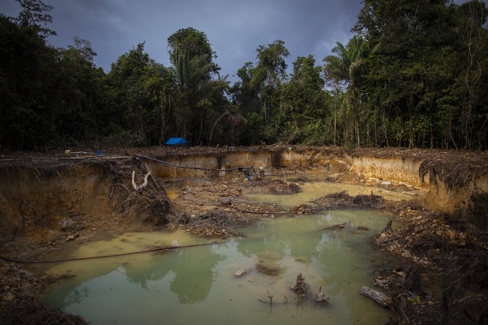 Área devastada por garimpo ilegal na Terra Indígena Yanomami — Foto: Daniel Marenco