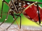 Caso de zika é confirmado nos EUA; vítima viajou para América Latina