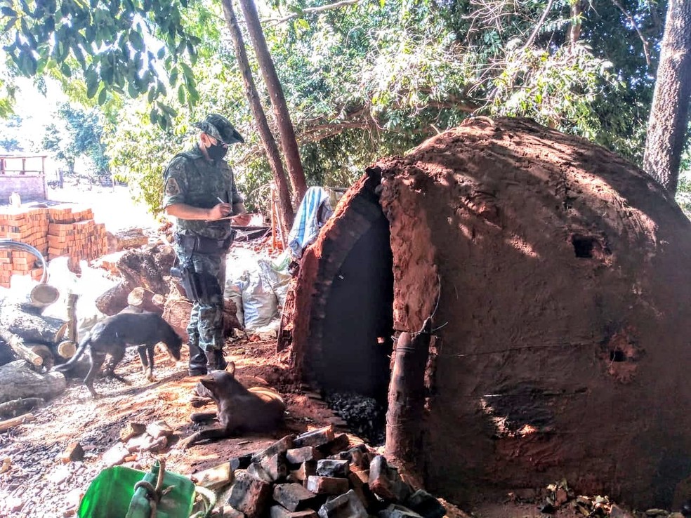 Mais de uma tonelada de carv&atilde;o vegetal foi apreendida durante opera&ccedil;&atilde;o &mdash; Foto: Pol&iacute;cia Ambiental