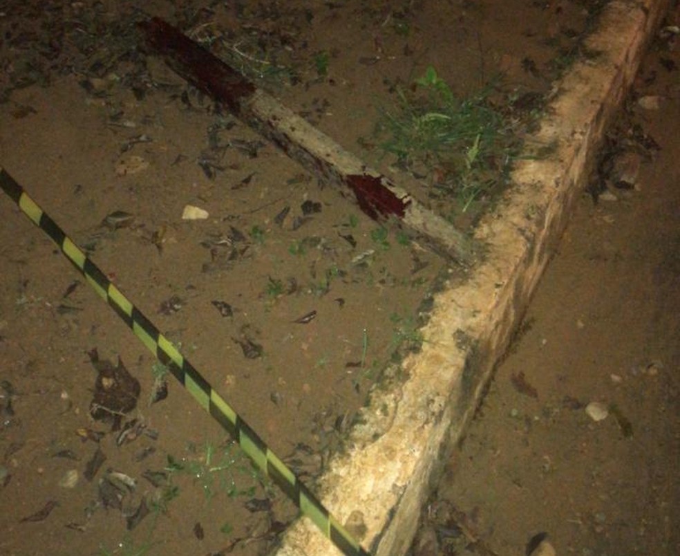 Arma utilizada no crime  — Foto: Reprodução/ Redes sociais 