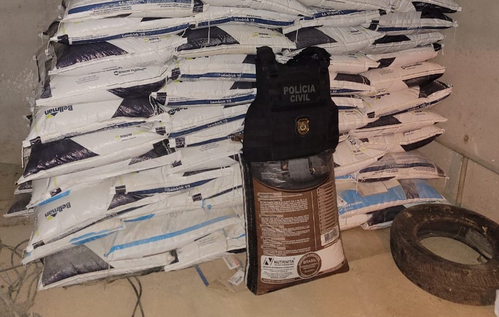 Motorista suspeito de vender a pr&oacute;pria carga de sal mineral e registrar falso roubo &eacute; preso no extremo sul da Bahia &mdash; Foto: Divulga&ccedil;&atilde;o/Pol&iacute;cia Civil
