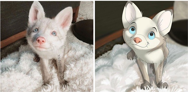 Esta jovem transforma pets em pinturas e faz sucesso na internet - Pequenas  Empresas Grandes Negócios