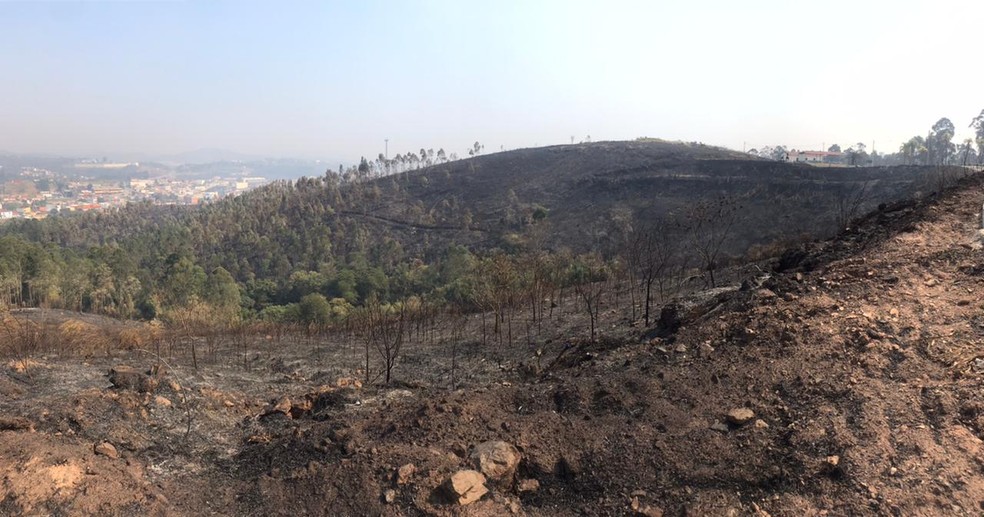 Incêndio de grandes proporções atinge área de mata em Araçariguama (SP) — Foto: Mayara Corrêa/TV TEM