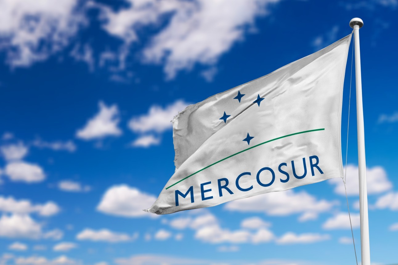 Mercosul, bandeira (Foto: Divulgação)