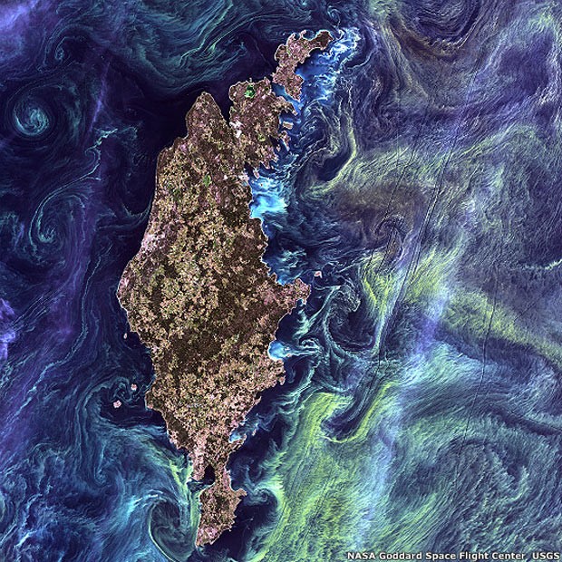 No estilo de uma pintura impressionista do Van Gogh, redemoinhos de uma enorme quantidade de fitoplâncton contrastam com as águas escuras do mar Báltico (Foto: NASA's Goddard Space Flight Center/USGS)