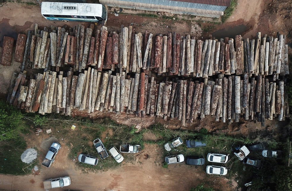 Visão aérea mostra troncos de madeira retiradas ilegalmente da Amazônia na cidade de Anapu, no Pará, em foto tirada no dia 2 de setembro de 2019. — Foto: Nacho Doce/Reuters