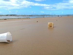 Lixo dosméstico permanece abandonado na areia em praia de Maceió (Foto: Waldson Costa / G1)