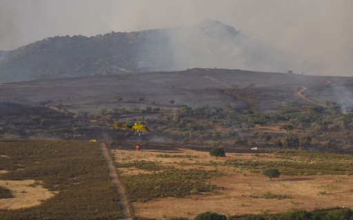 Des incendies de forêt frappent la France et l’Espagne au milieu d’une vague de chaleur en Europe – Época Negócios