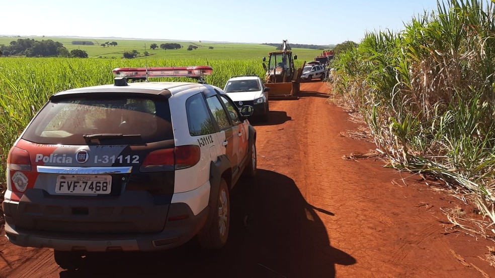 Nove veículos foram localizados em uma área de canavial  — Foto: Adolfo Lima/TV TEM