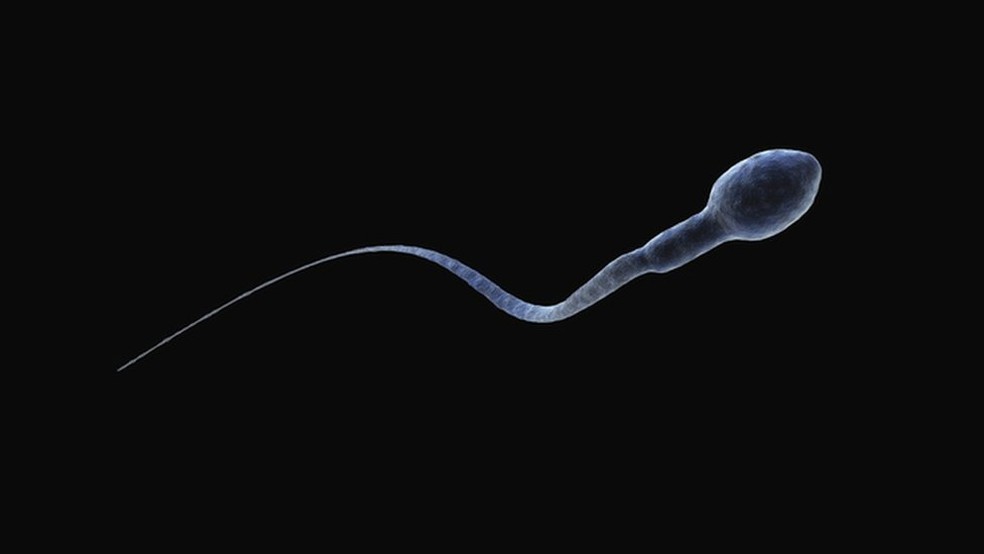 Contagem de espermatozoides caiu 51% em cinco décadas, mostram pesquisas — Foto: Getty Images via BBC