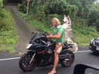 Cão faz sucesso ao ser fotografado passeando de carona em moto