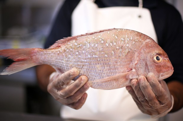 Consumo de peixe: mais uma recomendação (Foto: Getty Images)