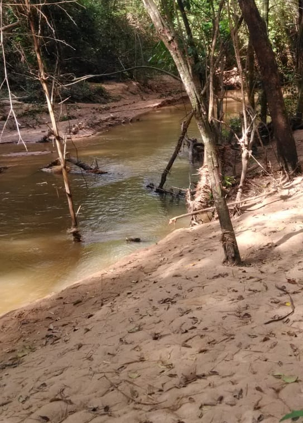 Pontos do Rio Santo Anastácio sofrem com o assoreamento — Foto: André Gonçalves Vieira/Semea