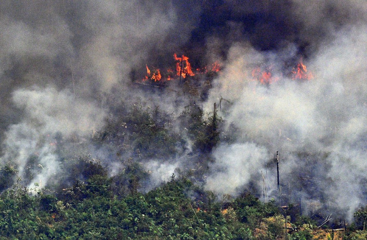 Nasa diz que 2019 é o pior ano de queimadas na Amazônia brasileira desde 2010