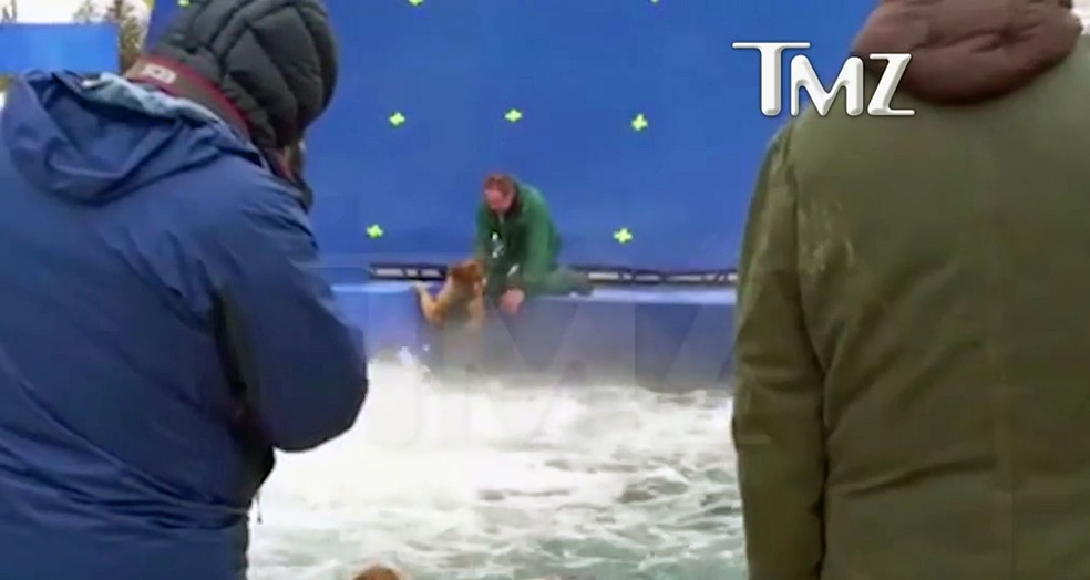 Assistir Filme Quatro Vida De Um Cachorro Dublado Produtores De Quatro Vidas De Um Cachorro Prometem Investigacao