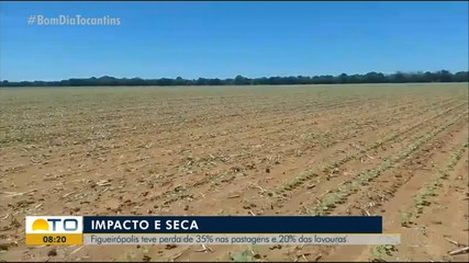 Figueirópolis perde 35% do pasto e 20% da lavoura pela seca