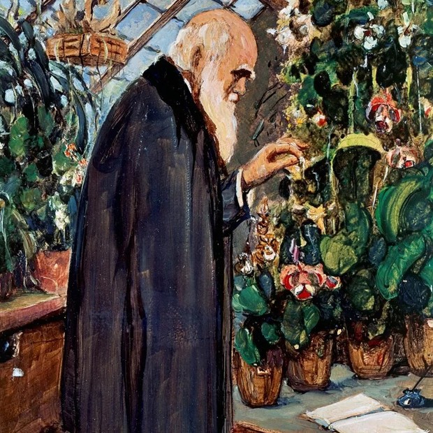 Retrato de Charles Darwin (1809) pintado por John Collier (1850-1934); 'erro' quanto a apêndice foi usado por críticos para desacreditar teoria da evolução, mas cientistas dizem que o apêndice, na verdade, serve para provar a teoria darwiniana (Foto: Getty Images via BBC)