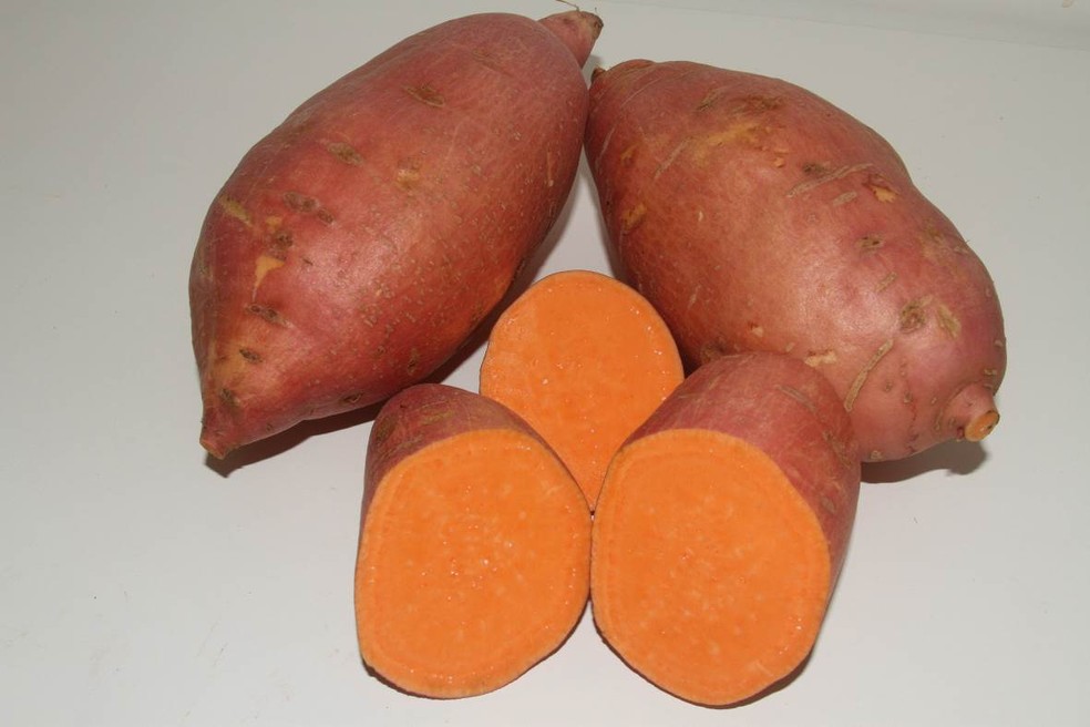 Batata-doce laranja — Foto: Divulgação Embrapa