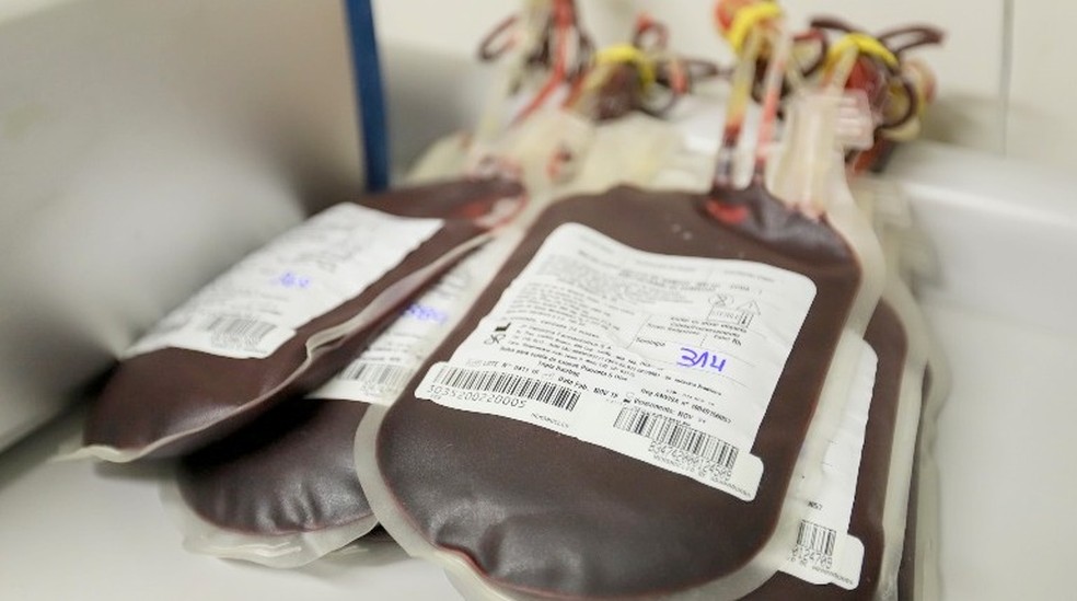 Plasma é tirado do sangue coletado no hemonúcleo — Foto: Amanda Rocha/ACidadeON/Araraquara