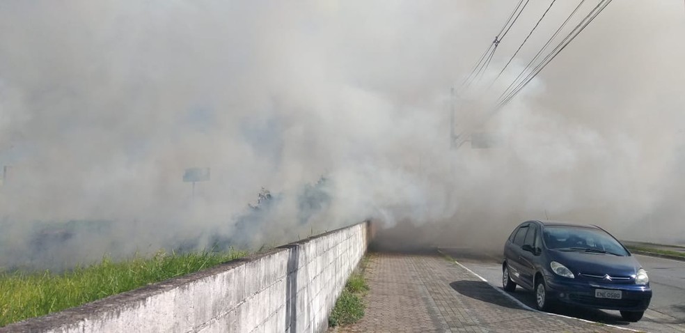 Fuma&ccedil;a provocada pelas chamas atingiu uma avenida em Praia Grande, SP &mdash; Foto: Reprodu&ccedil;&atilde;o/Praia Grande Mil Grau