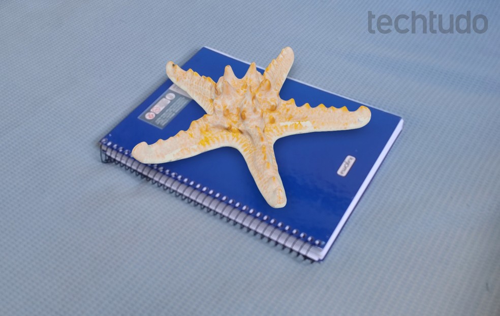 Modelo em 3D de estrela-do-mar no Google Arts & Culture — Foto: Beatriz Cardoso/TechTudo