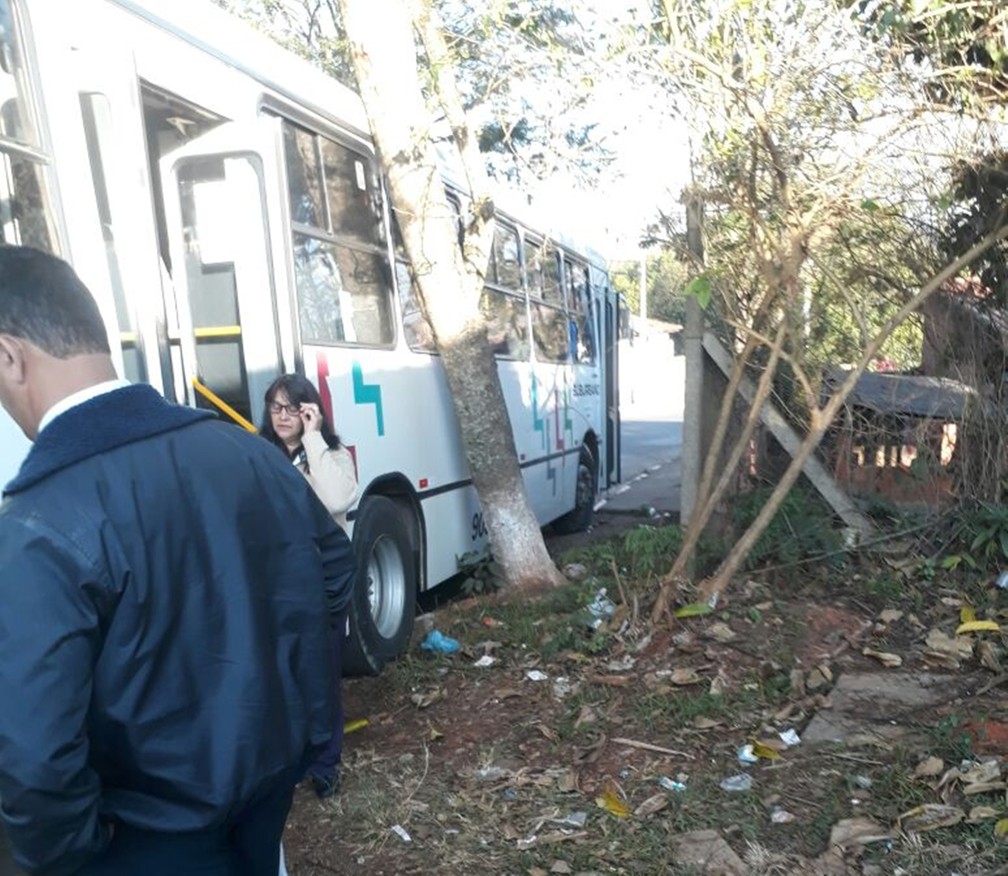 Ônibus parou após bater em árvore no Distrito de Gramadinho, em Itapetininga (Foto: Arquivo Pessoal/Andreia Silva)