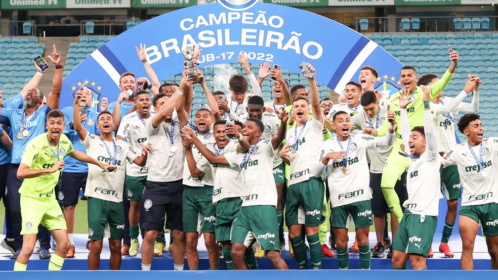 Palmeiras domina seleção do Campeonato Brasileiro; mineiros ficam fora -  Superesportes