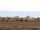 Turquia lança nova operação contra Estado Islâmico na Síria 
