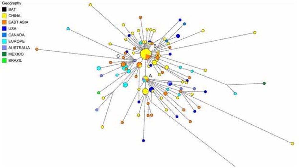 Estudo da Universidade de Cambridge dividiu os primeiros casos da doença em 3 grandes grupos A, B e C — Foto: Divulgação/Universidade de Cambridge