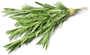 Twig of rosemary (Foto: Getty Images/iStockphoto)