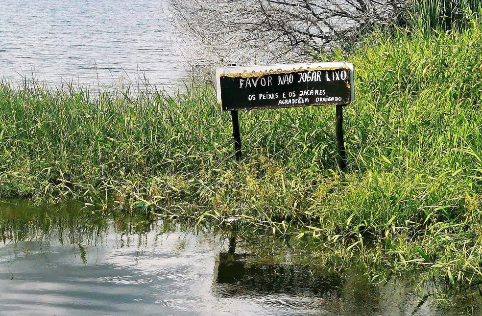 Após chuvas, bueiro transborda e esgoto polui lagoa em São Raimundo Nonato, no Piauí — Foto: André Pessoa/ Reprodução