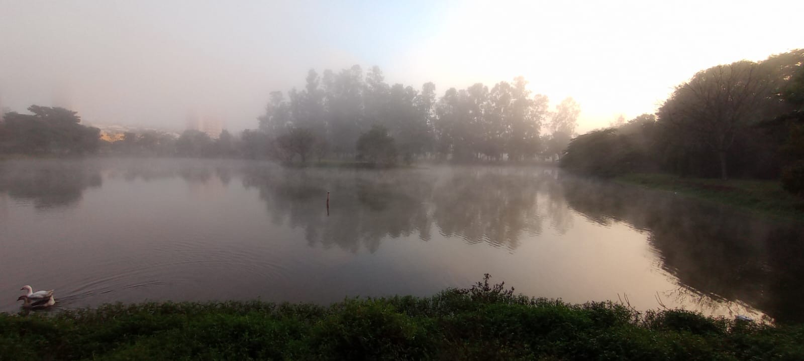 Corpo é encontrado em lagoa de parque em Santa Bárbara d'Oeste