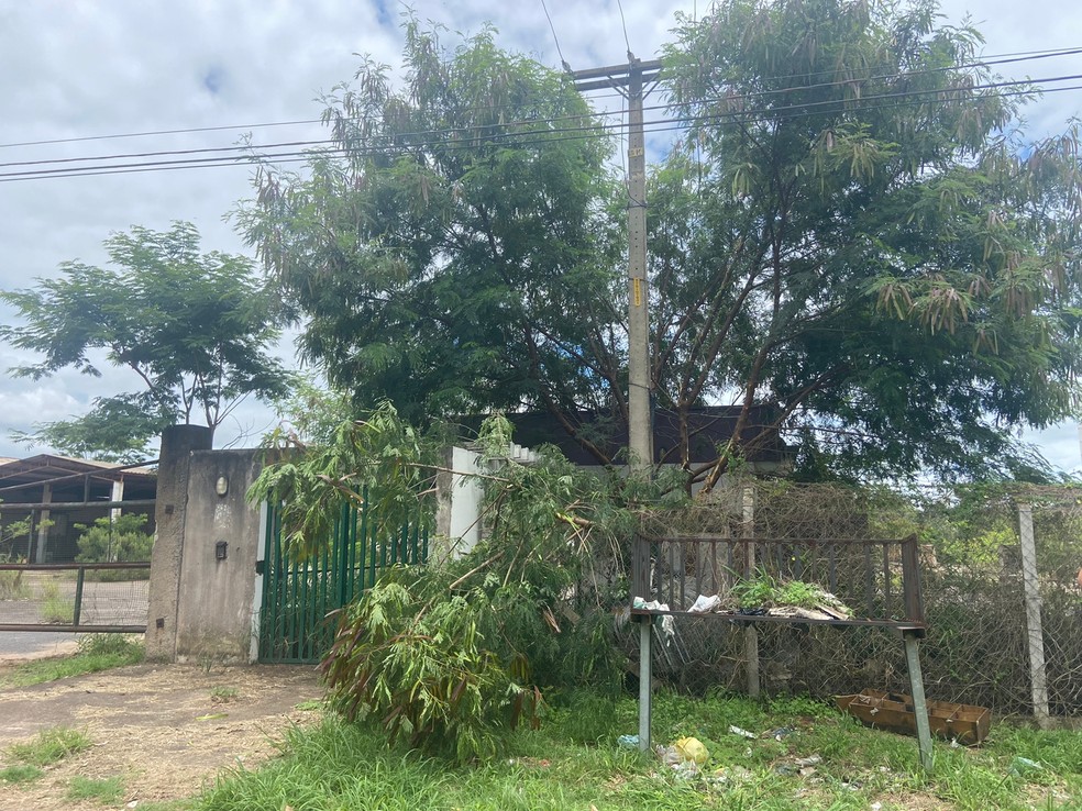 Homem sofreu descarga el&eacute;trica ao tentar furtar transformador de energia no Distrito Industrial, em Presidente Prudente (SP) &mdash; Foto: Aline Costa/TV Fronteira