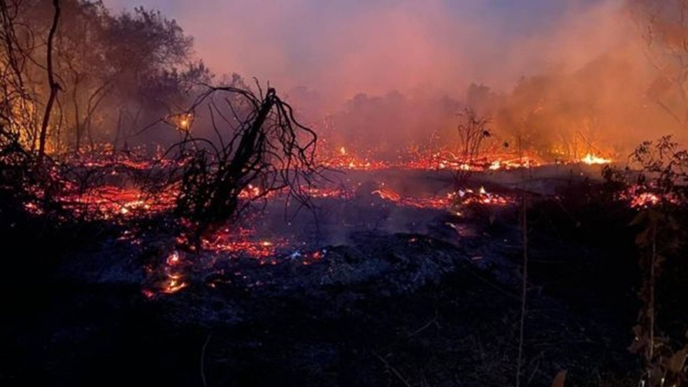  — Foto: Jorge Salomão Júnior via BBC