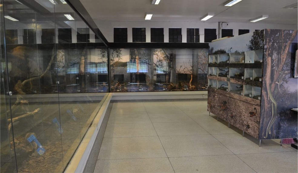 Museu Serpentário da Unesp de Botucatu (SP) fica localizado na Fazenda Experimental de Lageado — Foto: Museu Serpentário/Divulgação