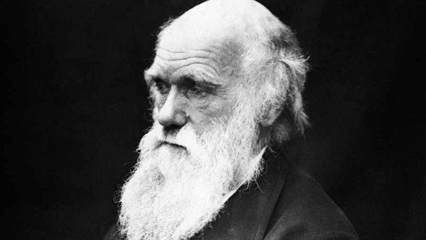 O naturalista inglês Charles Darwin, autor da Teoria da Evolução (Foto: Wikimedia Commons/Wikipedia)