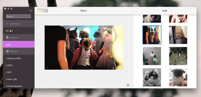 GIFs é um aplicativo para OS X que permite encontrar as melhores imagens animadas (Foto: Divulgação/GIFs)