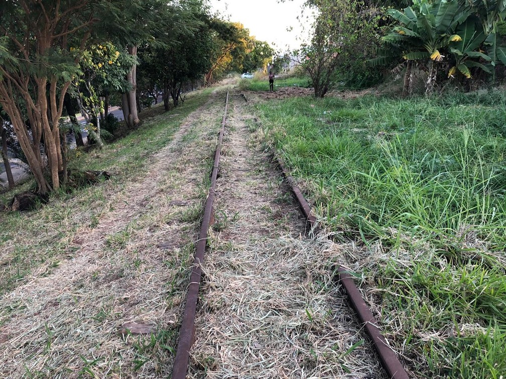 Ferrovia está abandonada na região de Presidente Prudente — Foto: Luís Augusto Pires Batista/TV Fronteira