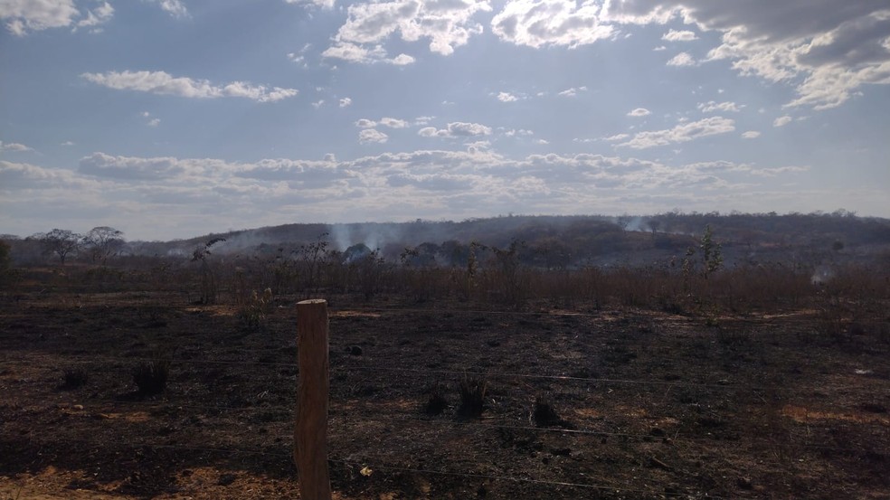 Chamas destruíram 90 hectares de vegetação — Foto: Corpo de Bombeiros/Divulgação