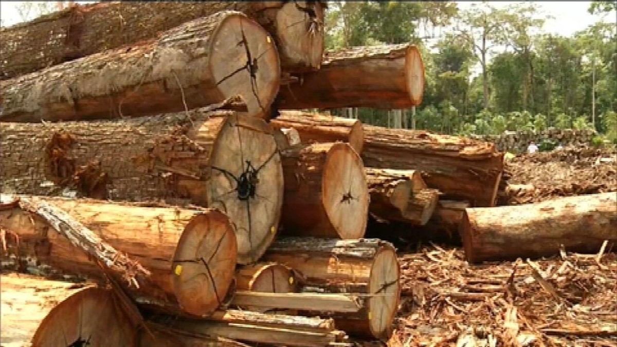Amazônia tem o maior desmatamento para o mês de abril em uma década, diz Imazon thumbnail