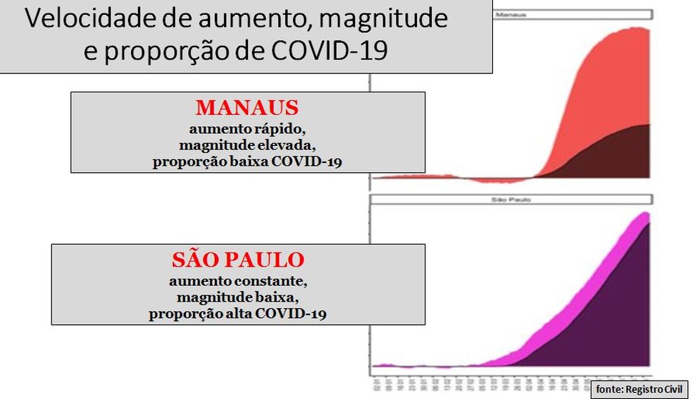 Comparativos do "excesso de mortes" entre as cidades de Manaus e São Paulo (as cores mais escuras representam mortes confirmadas por Covid-19) — Foto: Arquivo pessoal