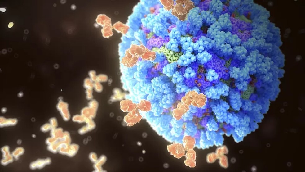 São os anticorpos do nossos sistema imunológico que nos defendem de invasores como o vírus da gripe — Foto: Science Photo Library (via BBC)