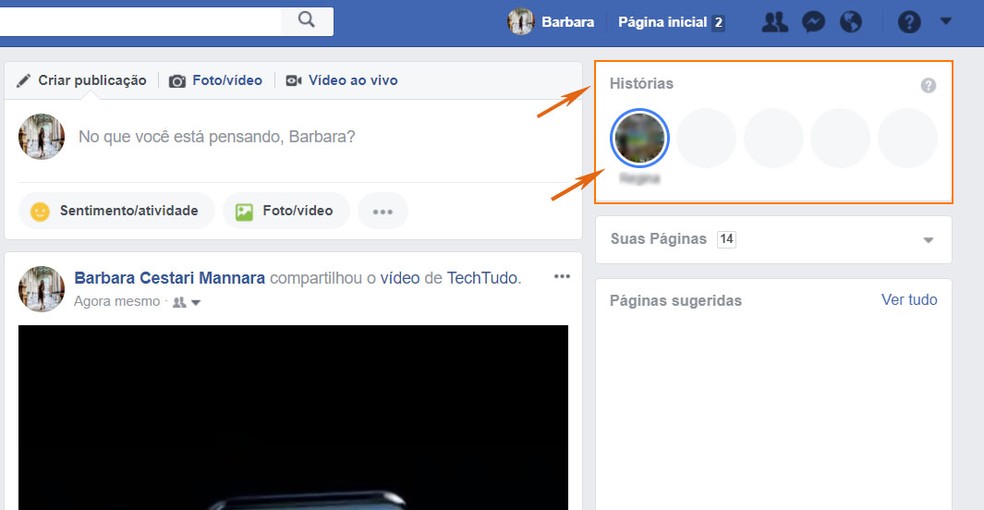 Como Baixar Stories Do Facebook No Pc