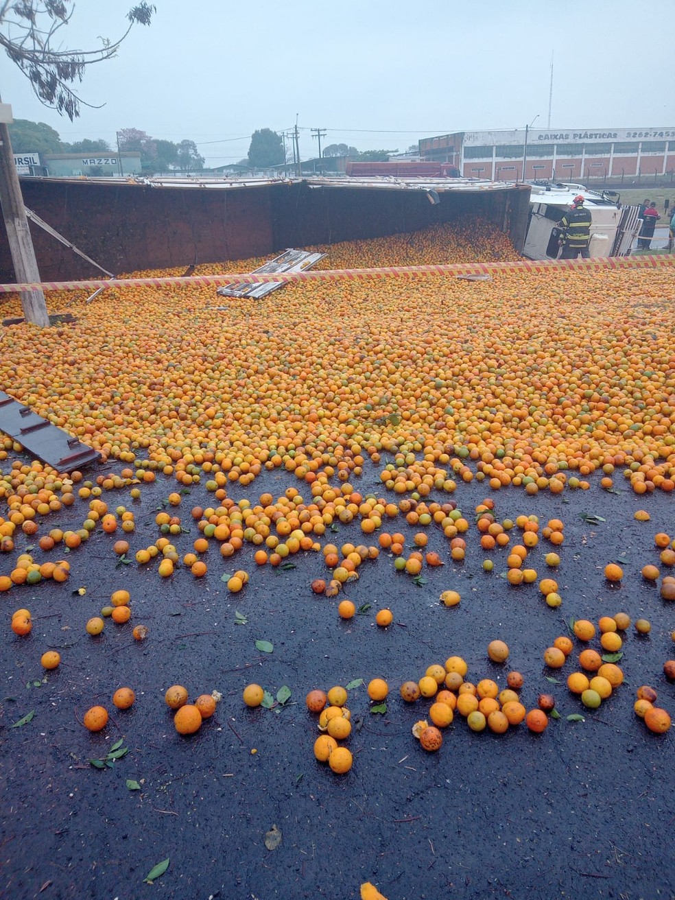 Caminhão tomba e derruba carga de laranjas em rodovia de Itápolis — Foto: Divulgação/Rádio Tambarussi