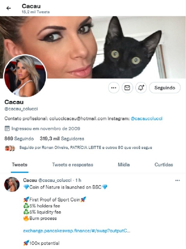 Posts de Cacau Colucci geraram estramento entre seguidores (Foto: Reprodução/Twitter)