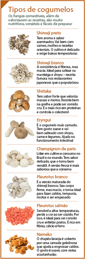 cogumelos-edicao-372-outubro-2016 (Foto:  )