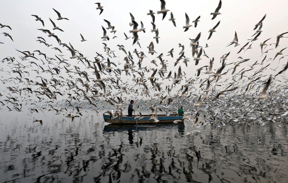 Um homem alimenta gaivotas no rio Yamuna durante o amanhecer em Nova Delhi, na Índia (Foto: Saumya Khandelwal/Reuters)