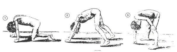 Manobra de Gowers, forma específica como crianças com Distrofia Muscular Duchenne costumam se levantar do chão (Foto: Wikimedia Commons)