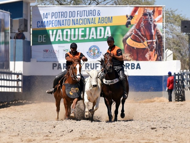 Acesso às provas do Campeonato de Vaquejada, em Bezerros, é gratuita (Foto: Divulgação)