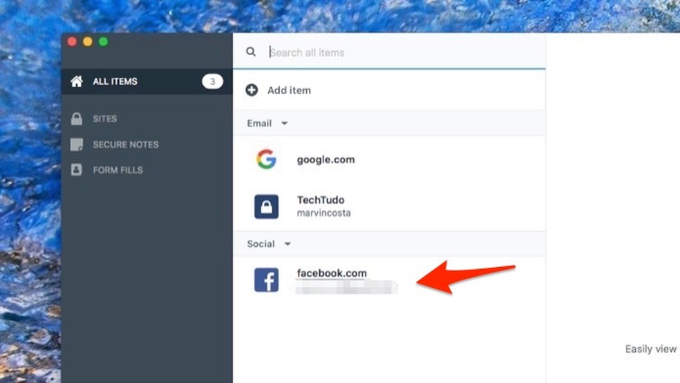 Ação para verificar dados de acesso para um site salvos no software LastPass para Mac — Foto: Reprodução/Marvin Costa